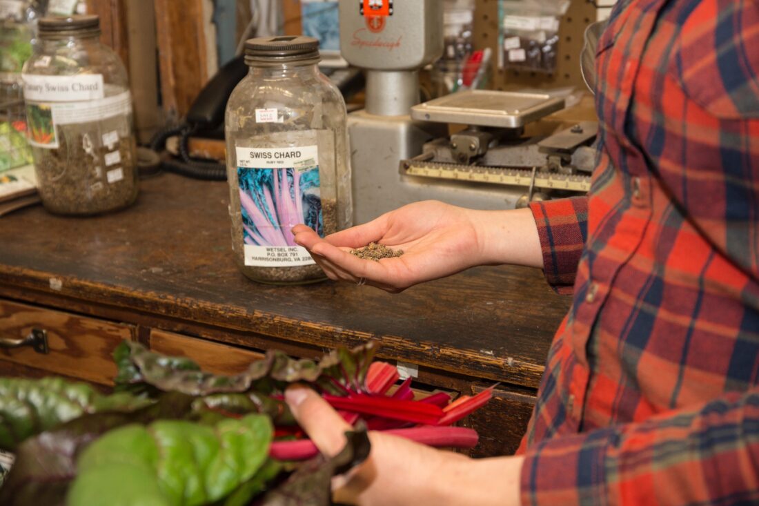 A hand holds seeds
